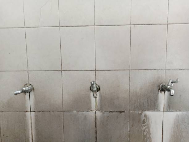 Best Flood damage cleanup  in North Alamo, TX