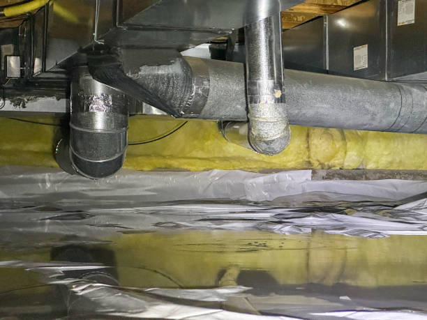 Best Professional water damage repair  in North Alamo, TX