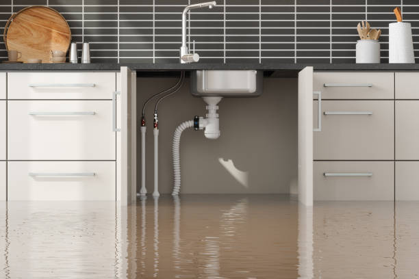 Best Flooded house restoration  in North Alamo, TX