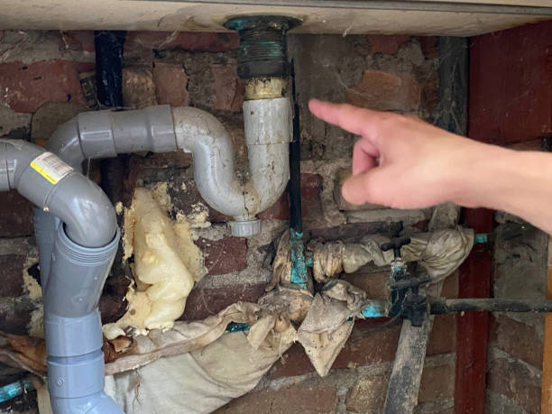 Best Water damage restoration near me  in North Alamo, TX