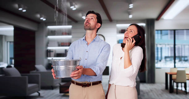 Best Water damage restoration near me  in North Alamo, TX
