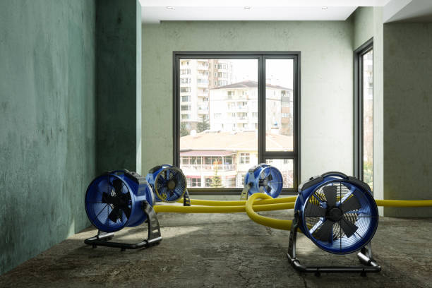 North Alamo, TX Water damage restoration Company